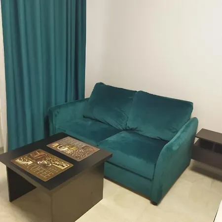 Apartment Studio Miruna Navodari